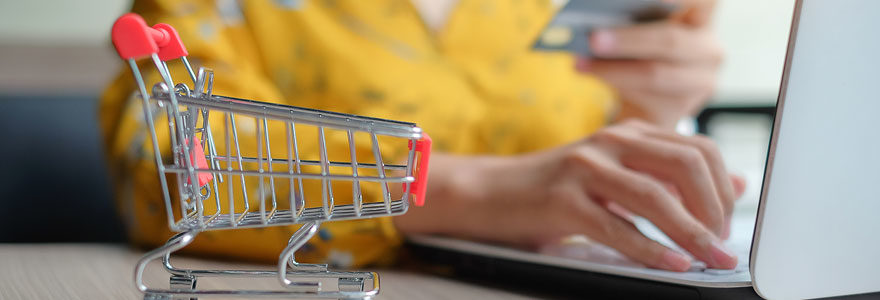 Faire ses courses sur internet